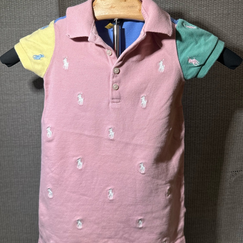 Polo Ralph Lauren Colorblock pony dress